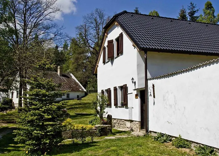 Alber Nová Bystřice